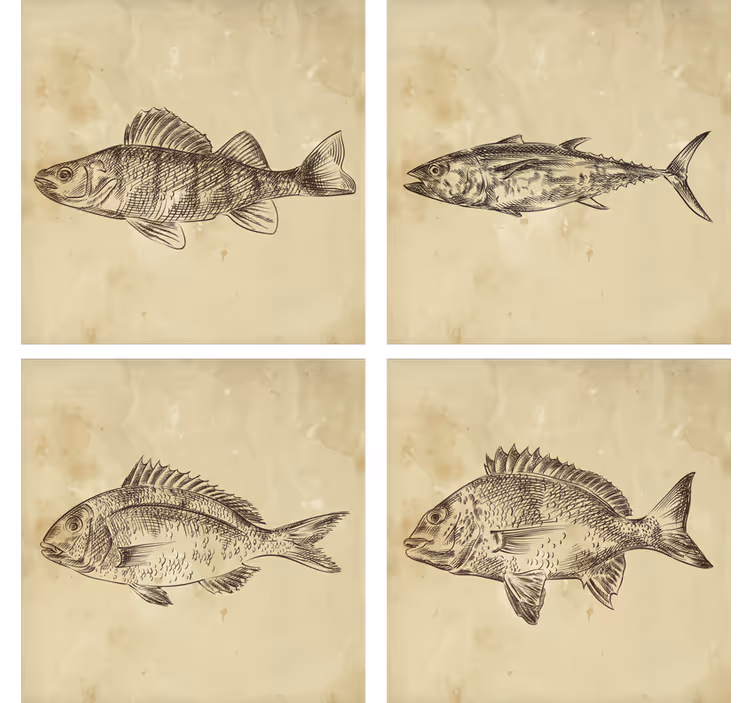 Geek coasters whimsical fish illustration - TenStickers