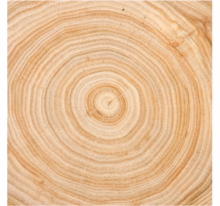 Coasters with wood grain circle design - TenStickers