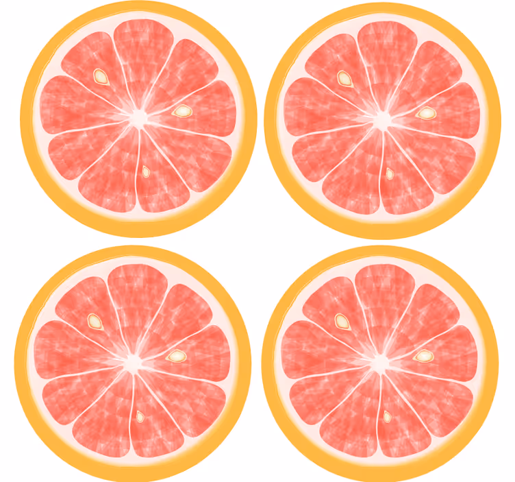 Geek coasters citrus slice design - TenStickers