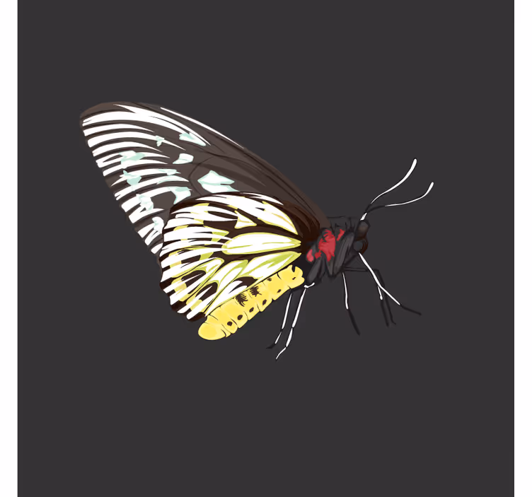 Geek coasters colorful butterfly artwork - TenStickers