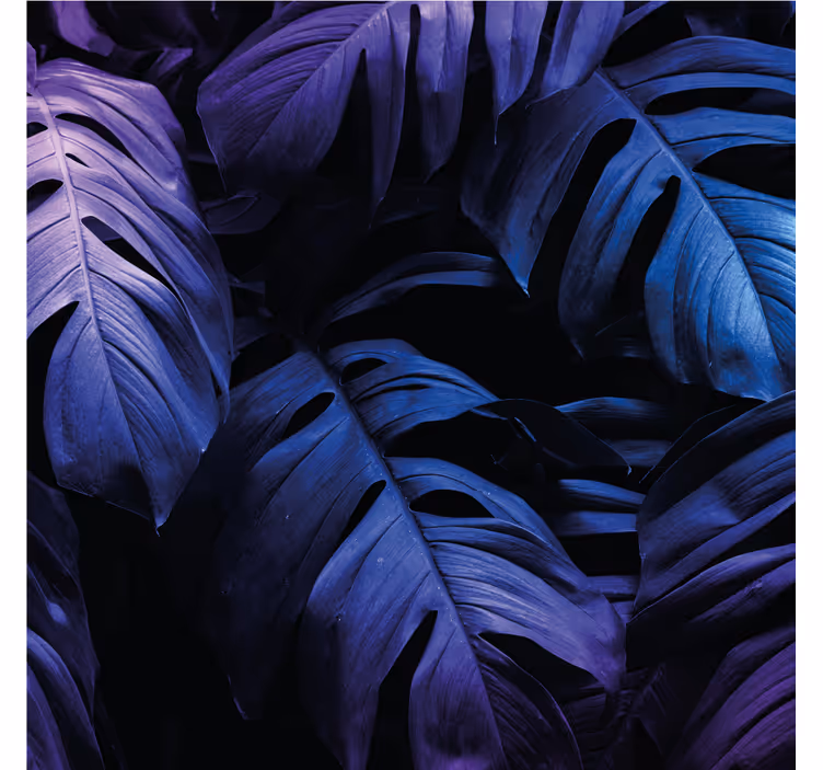 Coasters with lush leaf designs - TenStickers