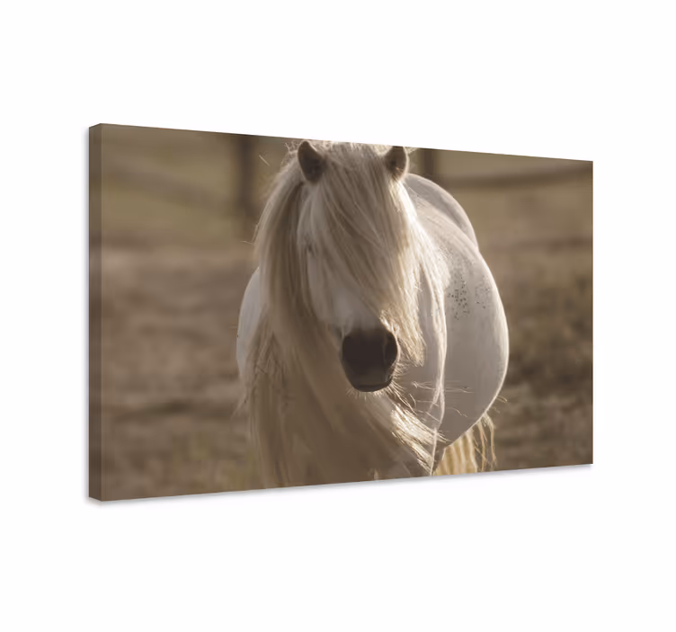 Horse wall art featuring a white-faced horse - TenStickers