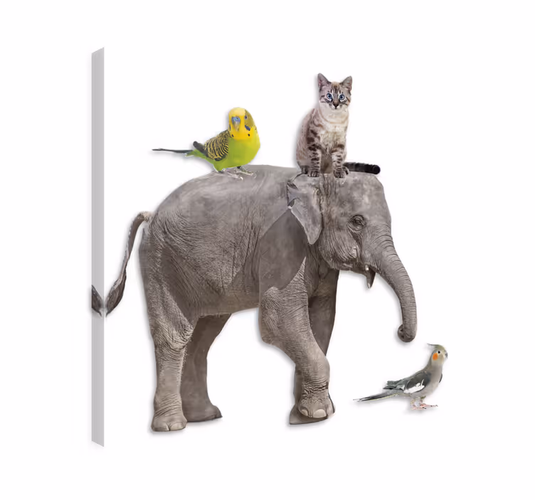 Elephant wallart featuring various animals - TenStickers