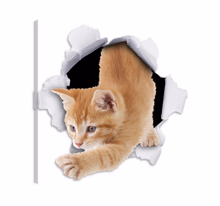 Cat wall art decorative illusion cat vinyl - TenStickers