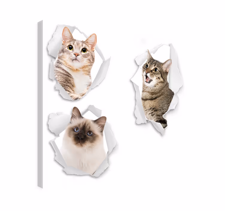 Cat wall art kittens trompe-l'oeil - TenStickers