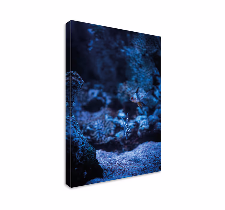 Underwater Scene fish canvas - TenStickers