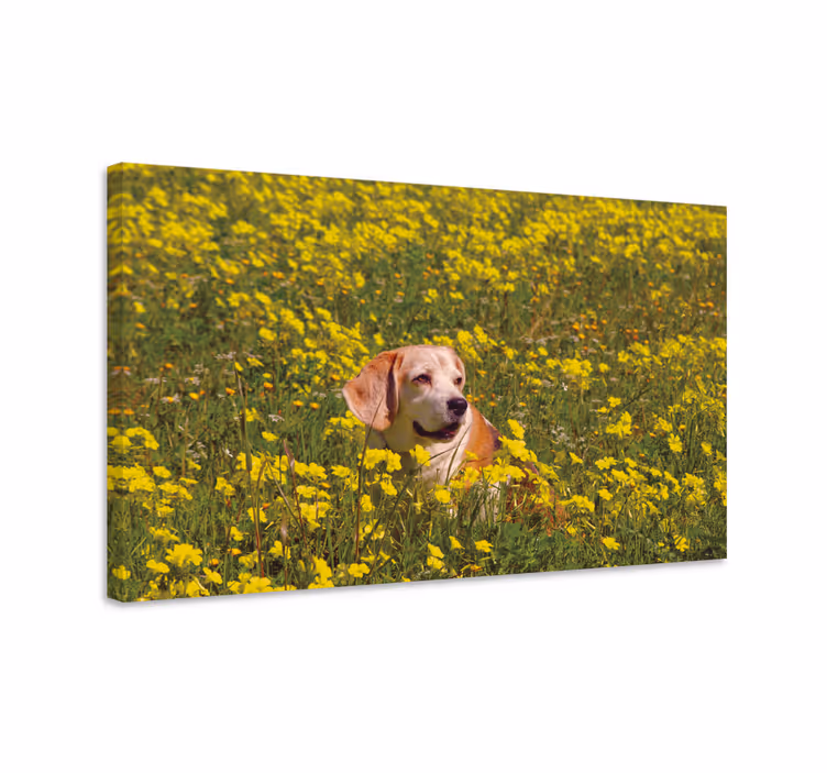 Dog laying in flowers flower canvas - TenStickers
