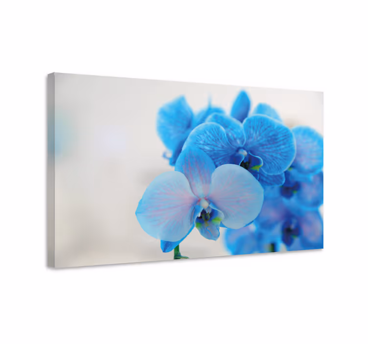Blue orchid flower  flower canvas - TenStickers