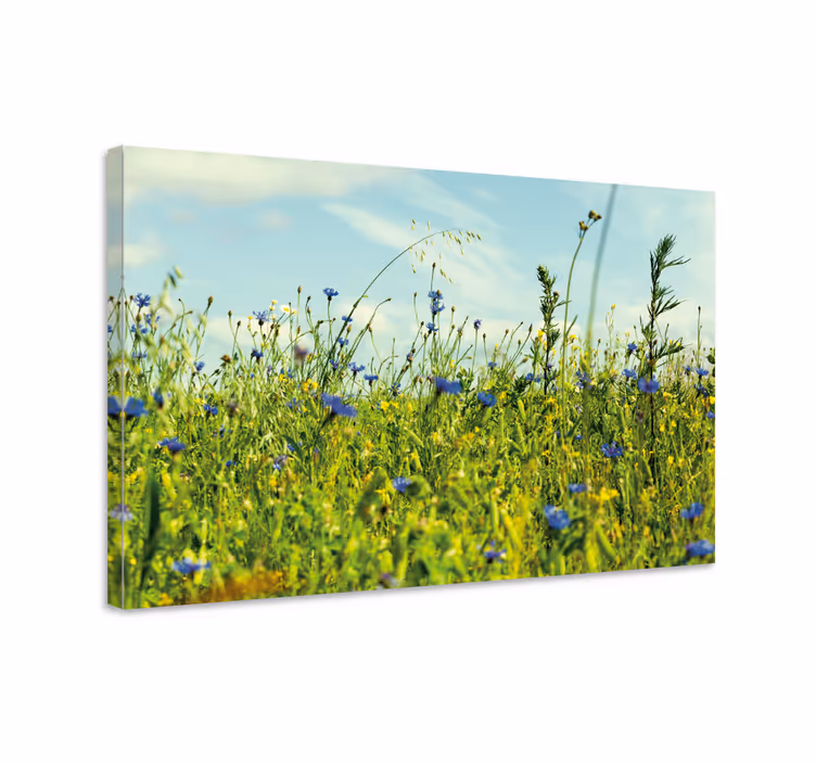 Flowers canvas wildflower meadow scene - TenStickers