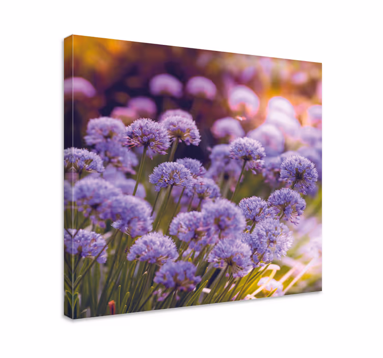 Flowers canvas vibrant purple blooms - TenStickers