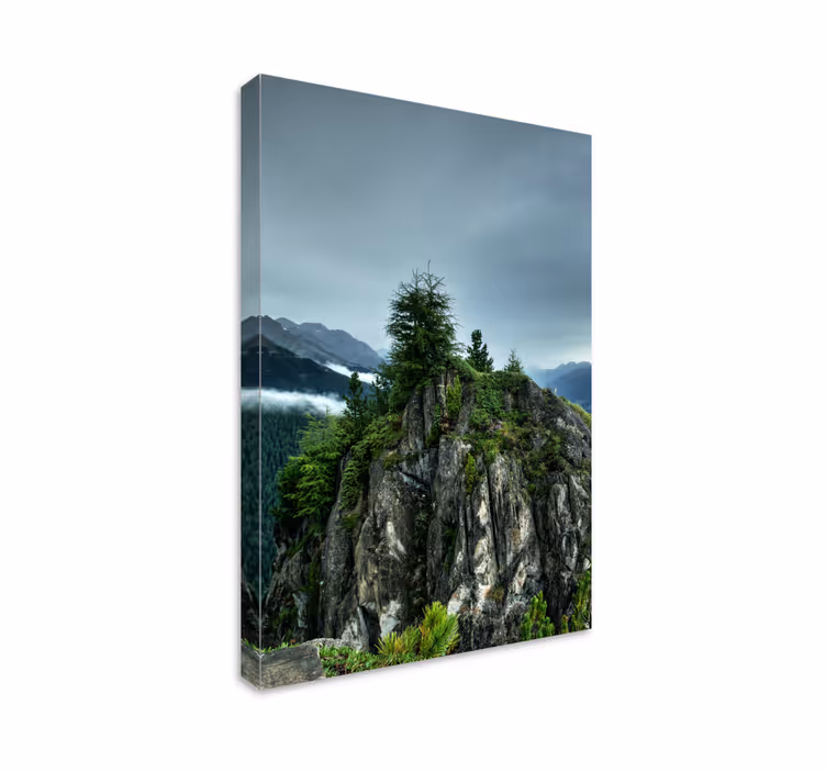 Single rock in green forest landscape canvas - TenStickers