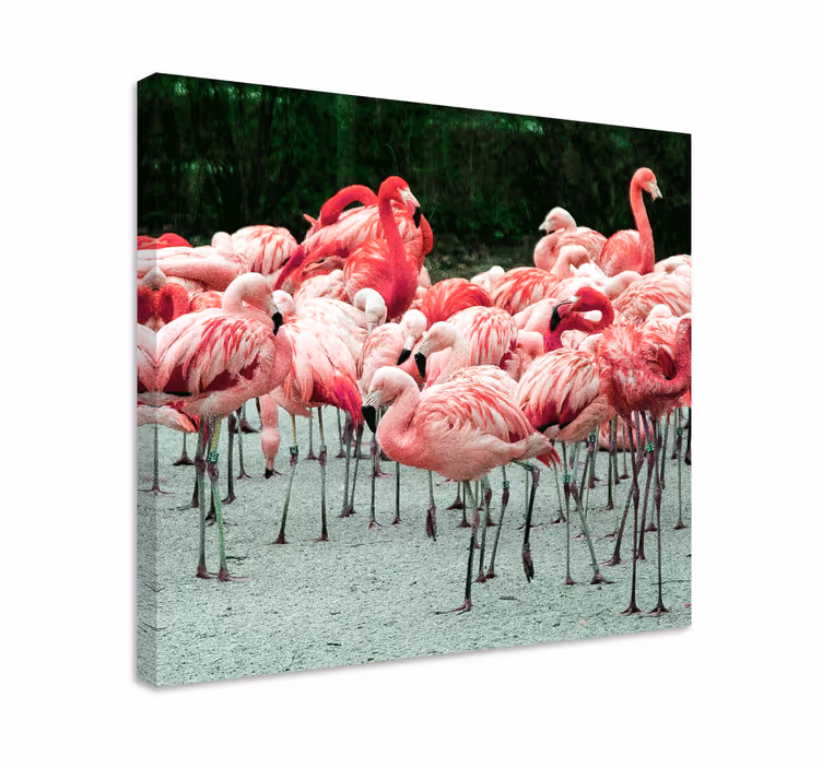 Bird canvas wall art flamingo flock decor - TenStickers