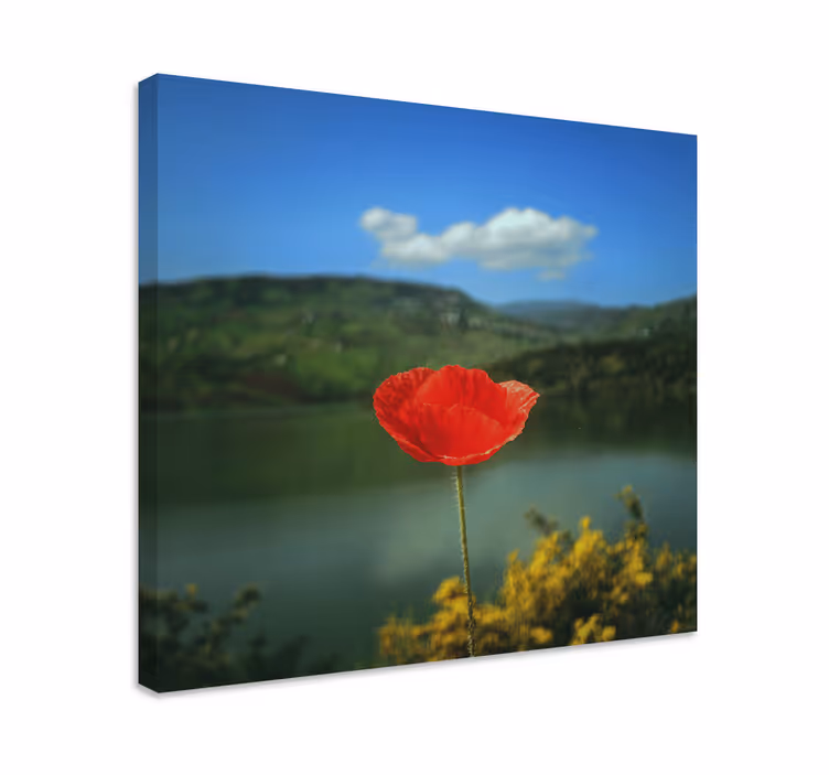 Flowers canvas red poppy bloom - TenStickers