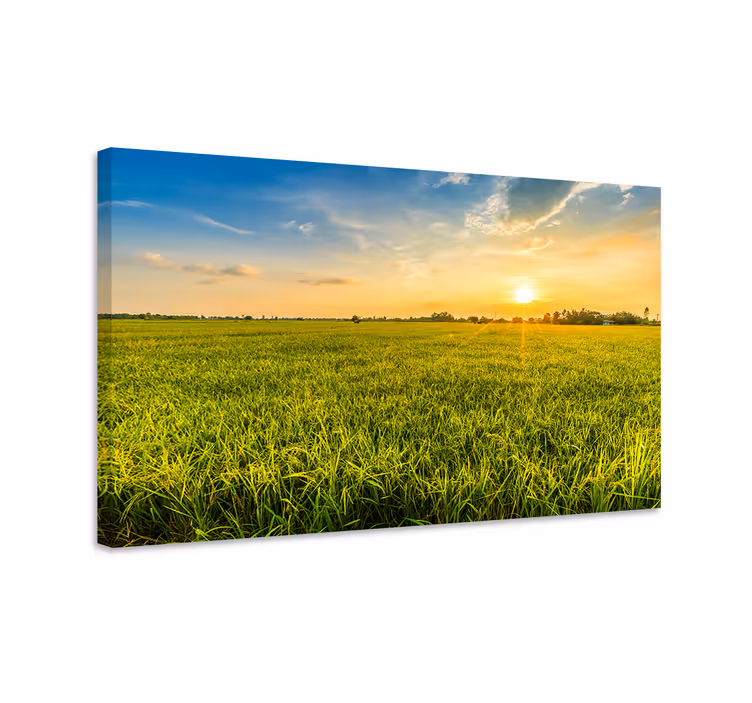 Sunset Over Fields landscape canvas - TenStickers
