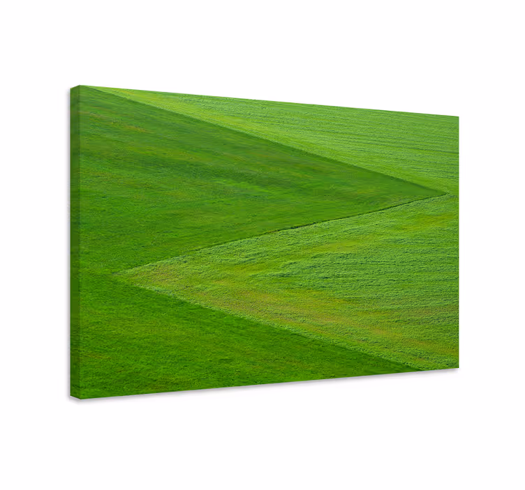 Landscape canvas verdant green landscape - TenStickers