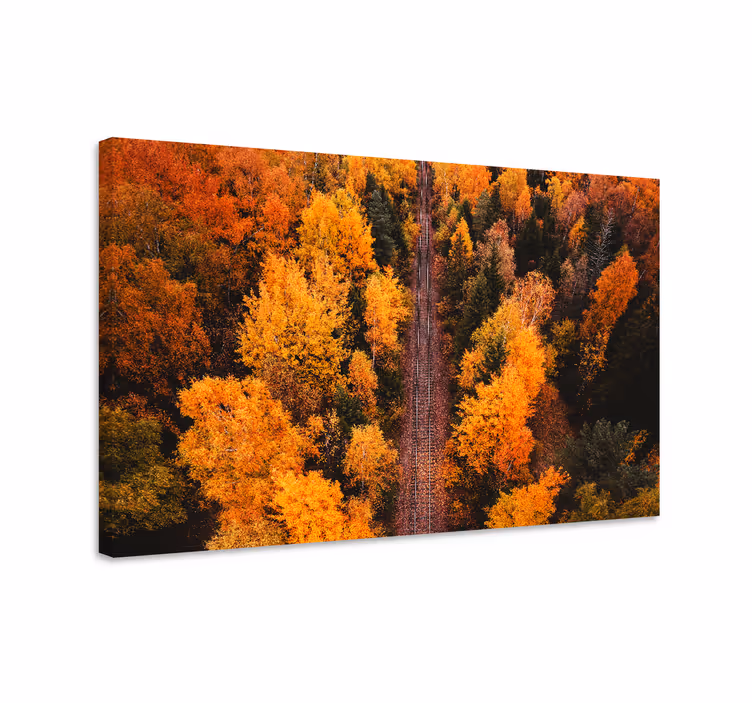 Landscape canvas autumn foliage pathway - TenStickers