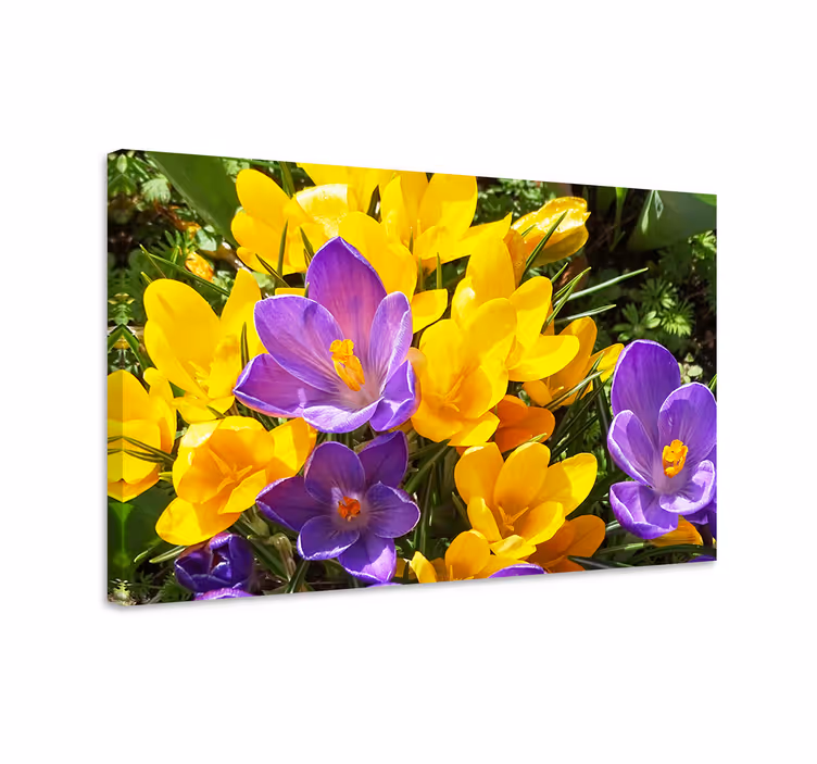 Flowers canvas colorful spring blooms - TenStickers