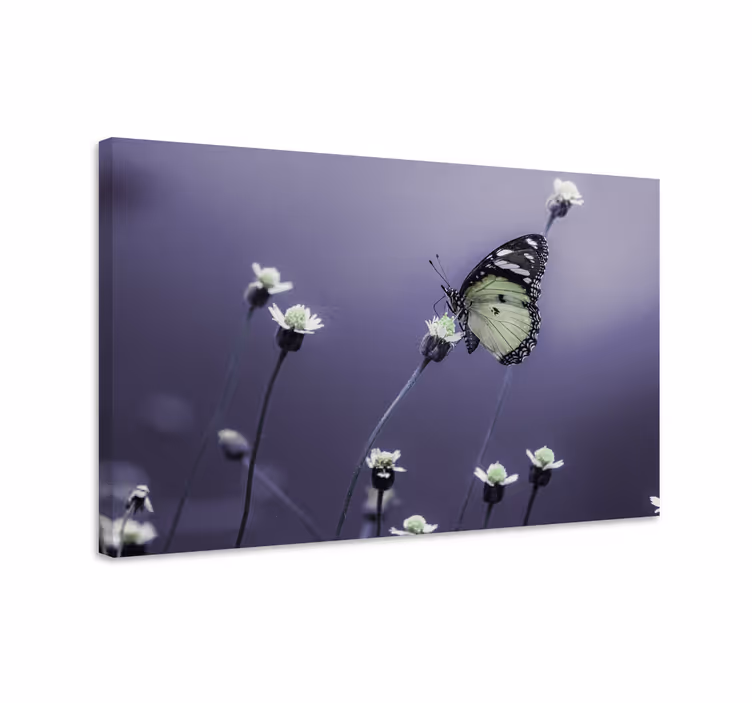 Butterfly canvas butterfly among flowers - TenStickers