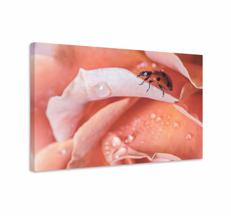 Elegant flower ladybug animal canvas prints - TenStickers