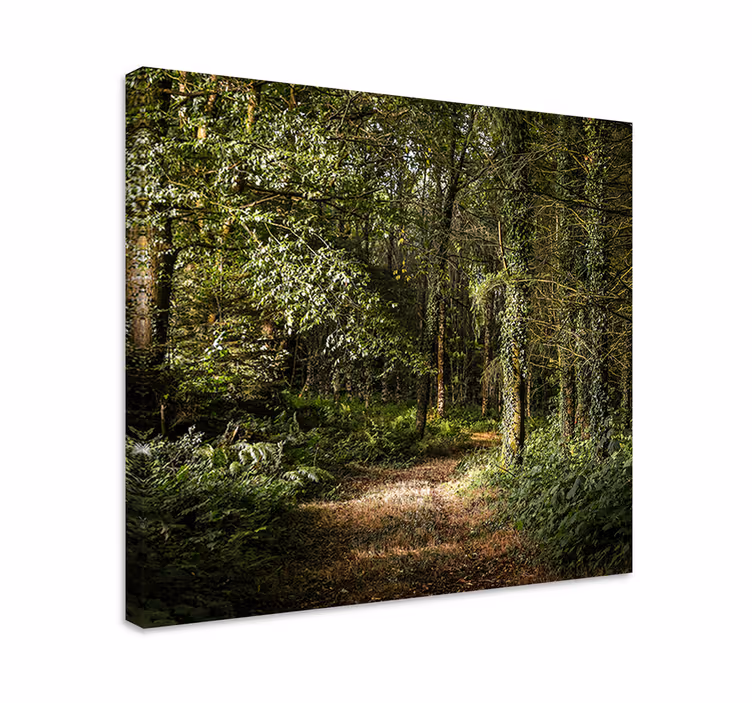 Woodland trail view landscape canvas - TenStickers