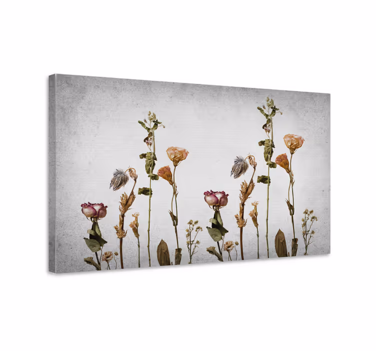 Scandinavian style dry plants canvas prints - TenStickers