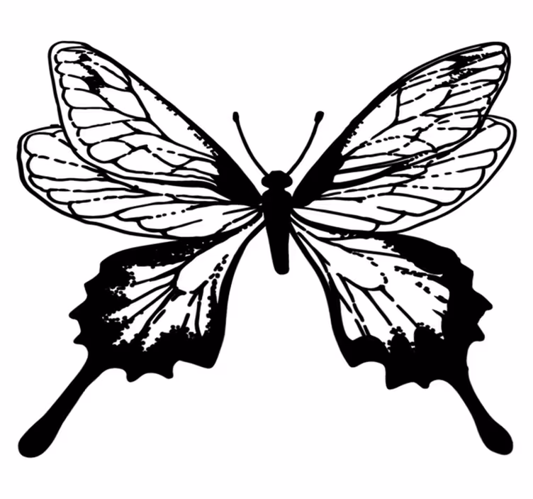 Animal vinyl rug graceful butterfly outline - TenStickers