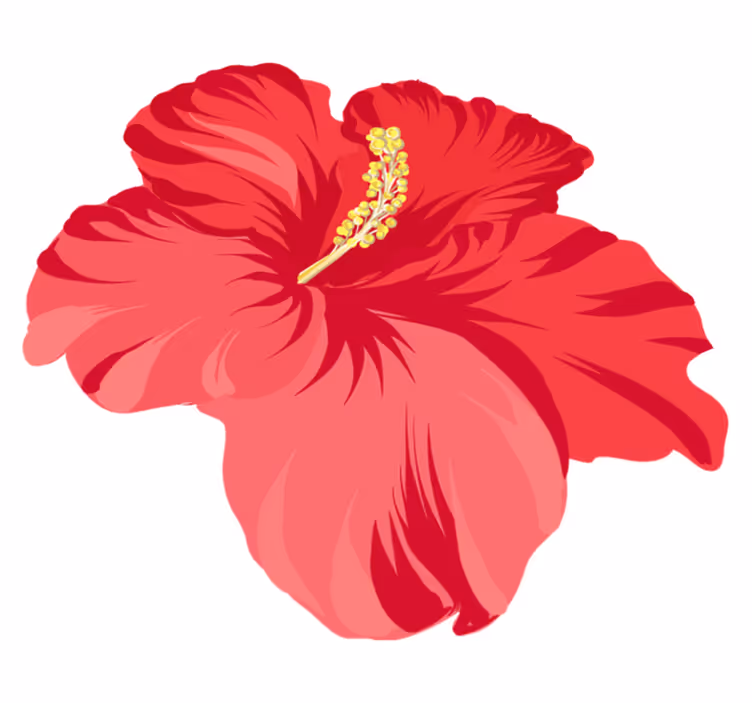Floral vinyl rug with red hibiscus flowers - TenStickers