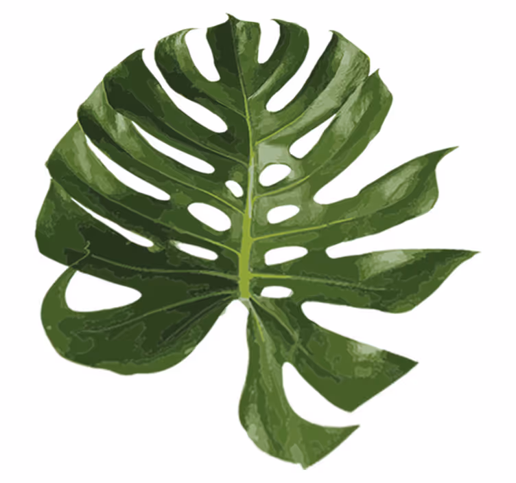 Floral vinyl rug with delicious monstera leaf design - TenStickers