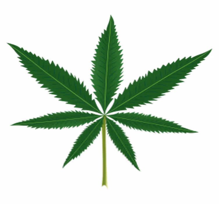 Floral vinyl rug with marijuana leaf design - TenStickers