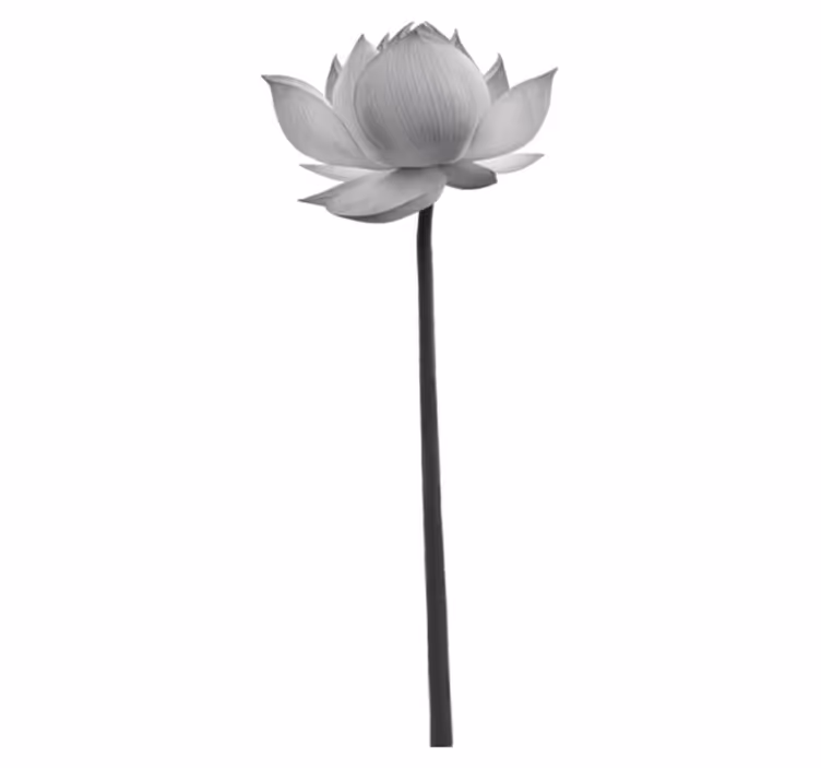 Bedroom vinyl rug lotus solitary flower rug - TenStickers