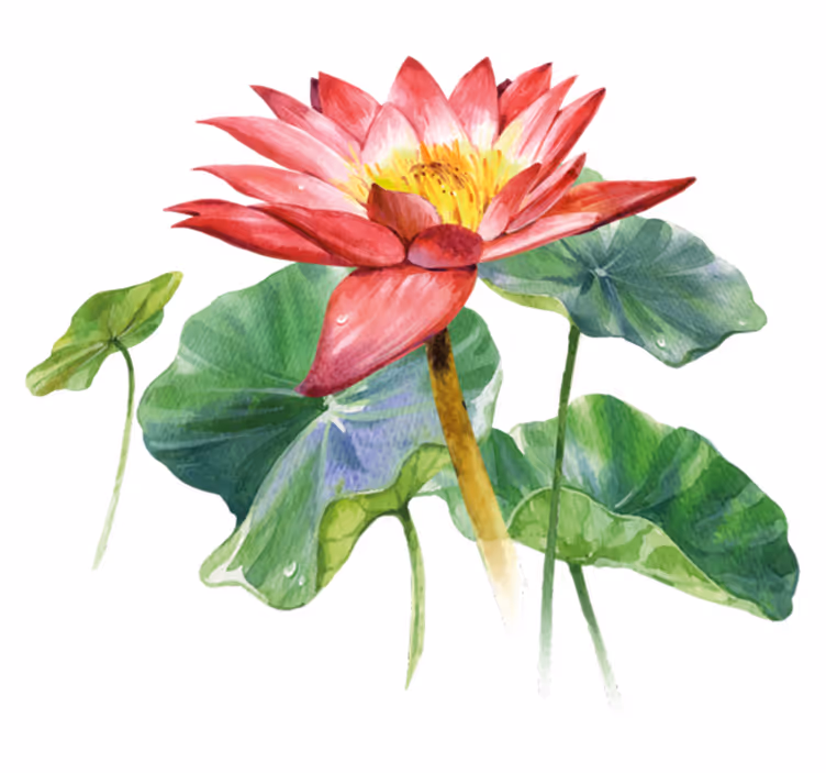 Bedroom vinyl rug lotus watercolor dream - TenStickers
