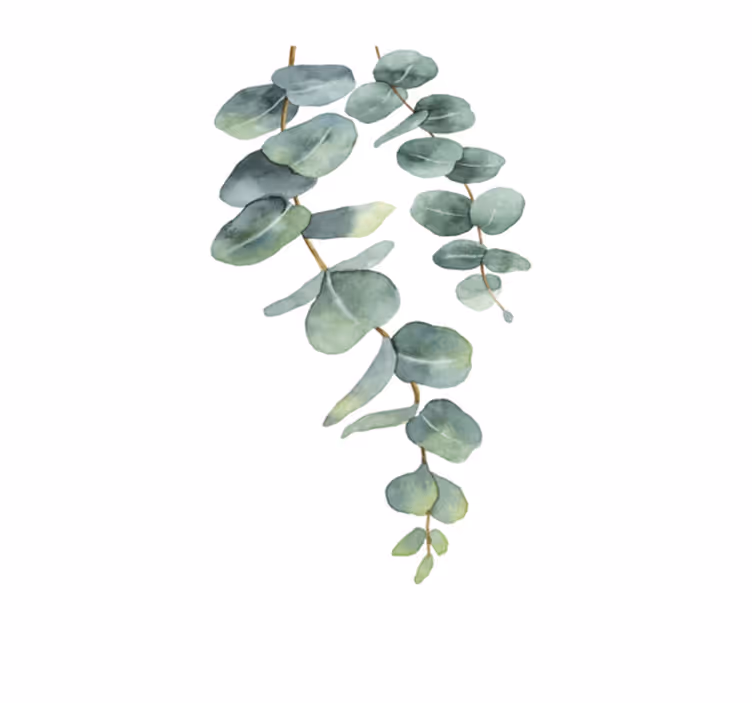 Floral vinyl rug eucalyptus twigs - TenStickers