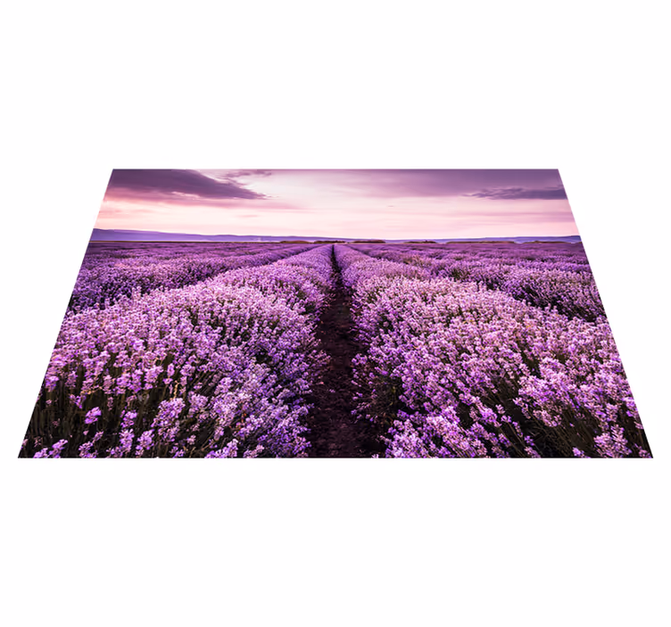 Purple vinyl rug lavender flowers in provence - TenStickers