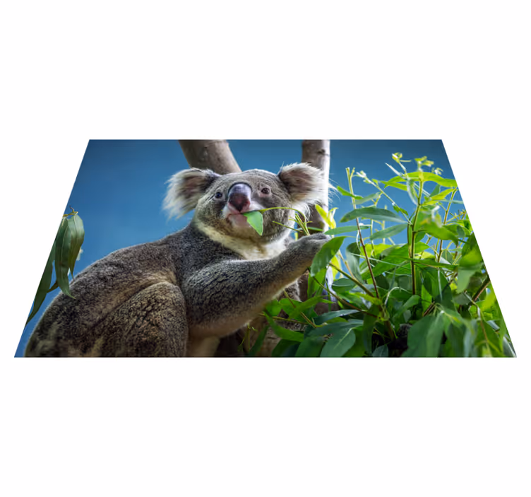 Animal cute koala bears animal rug - TenStickers