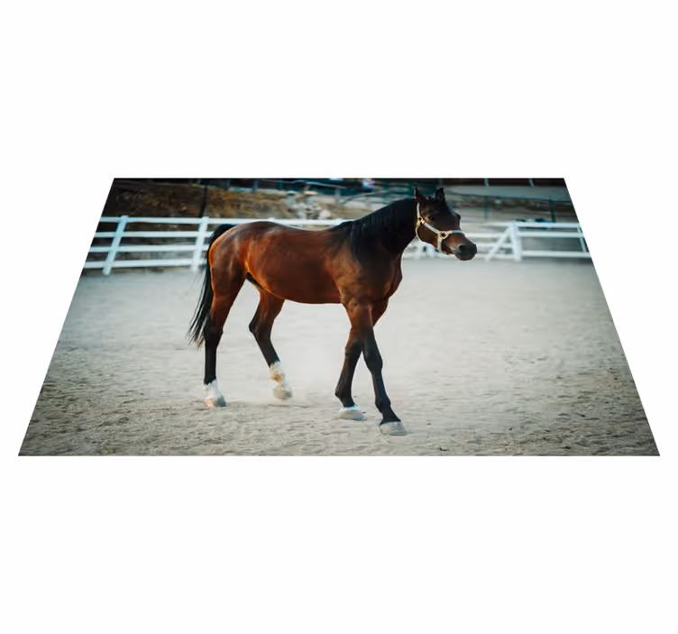 Animal brown horse vinyl rug - TenStickers