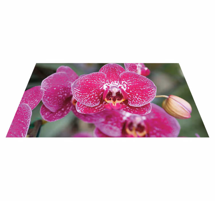 Vibrant Orchid Blooms floral vinyl rug - TenStickers