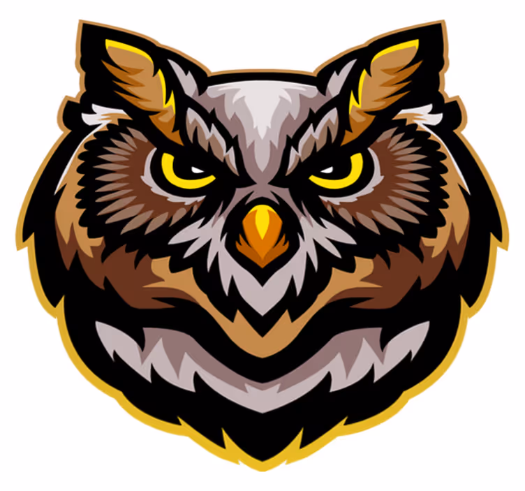 Owl Face Art animal vinyl rug - TenStickers