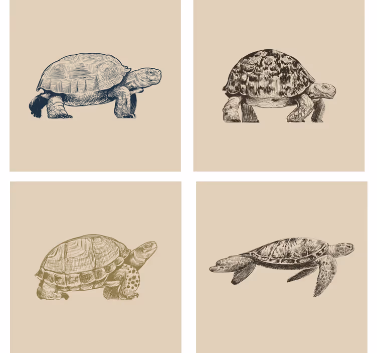 Retro wallpaper turtles on beige background - TenStickers