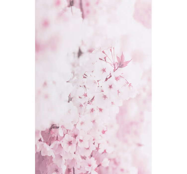 Flowers wallpaper light pink flower background - TenStickers