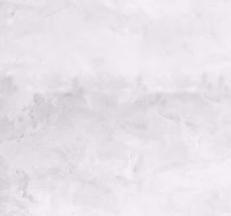Modern aesthetic concrete wallpaper - TenStickers