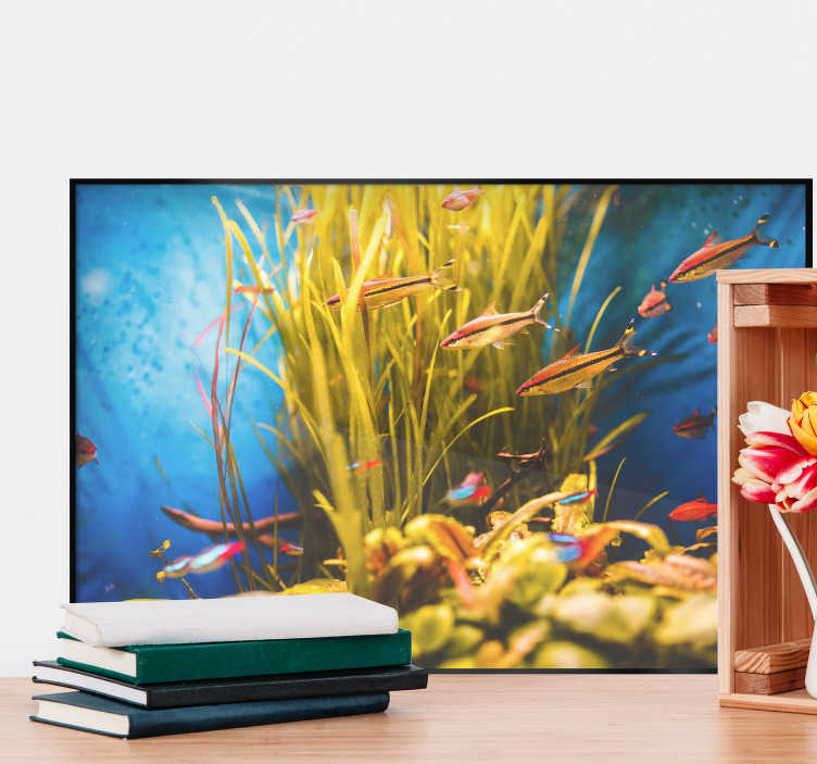 TenStickers. Marine View Wall Mural sticker. Add some high resolution fish to your wall with this wall mural sticker! +10,000 satisfied customers.