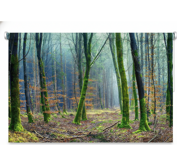 Tree blind foggy forest japandi - TenStickers