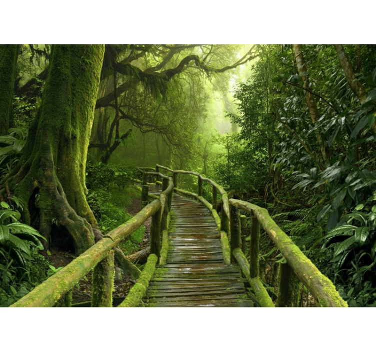 Lush mossy boardwalk tree blind - TenStickers