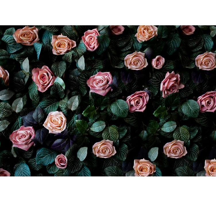 Blind kitchen pink coral roses - TenStickers