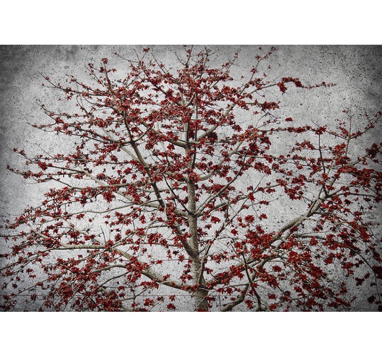 Blind kitchen minimalistic tree with red flowers - TenStickers