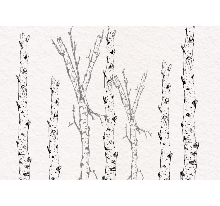 White window blind birch stems - TenStickers