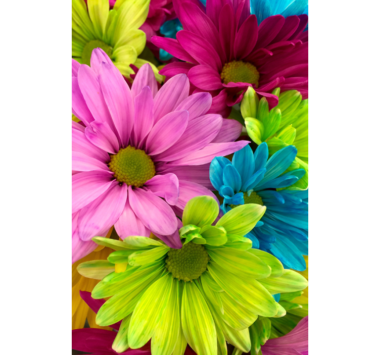 Colorful flowers living room blind - TenStickers