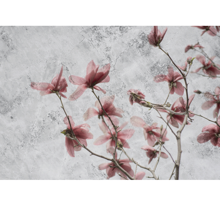 Living room blind in elegant glamour magnolia design - TenStickers