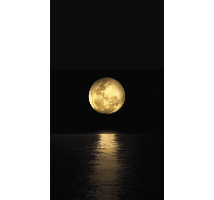 Black roller blind in golden moonlight - TenStickers