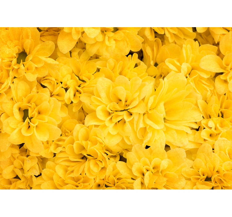 Blind yellow petals of bloom - TenStickers